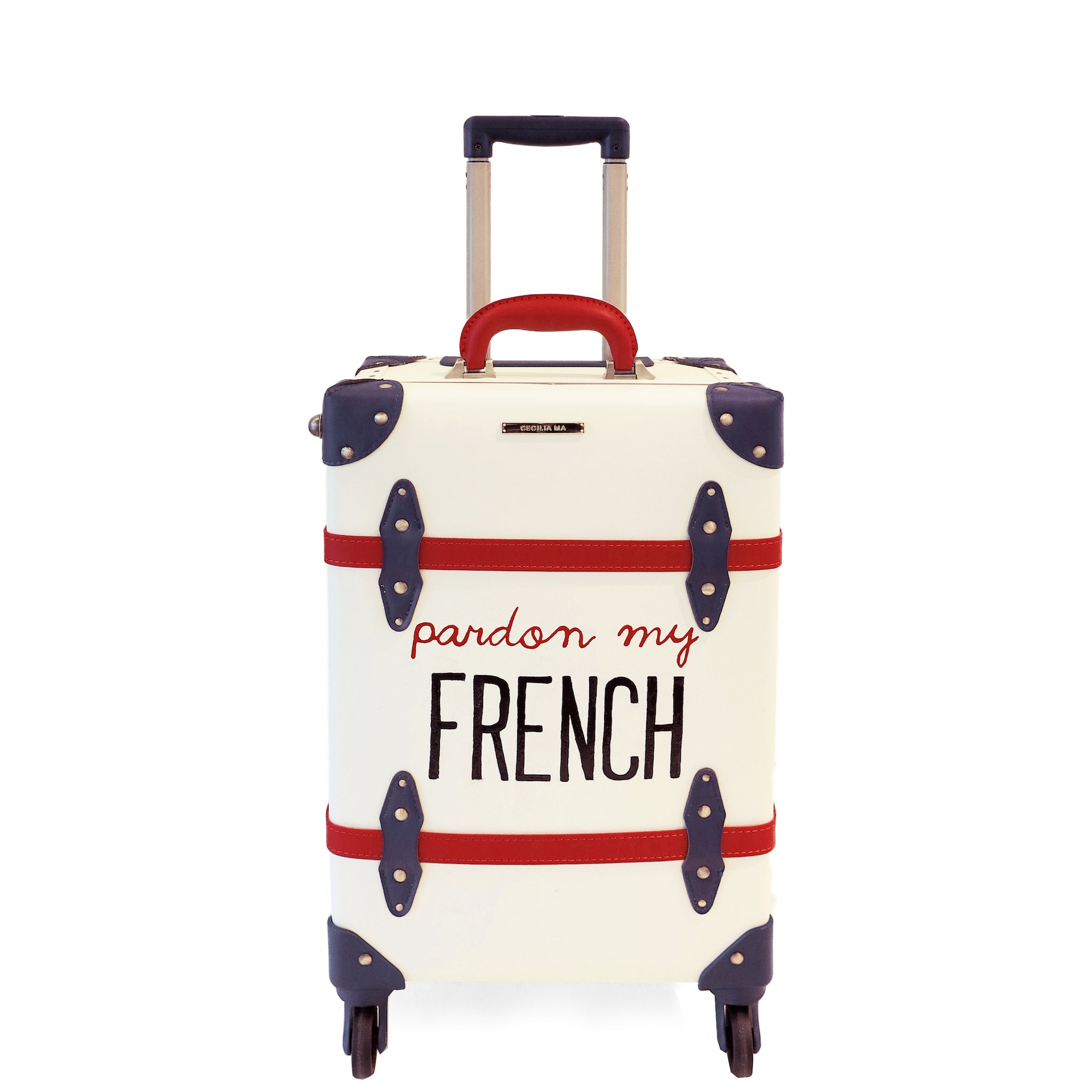 vintage french luggage