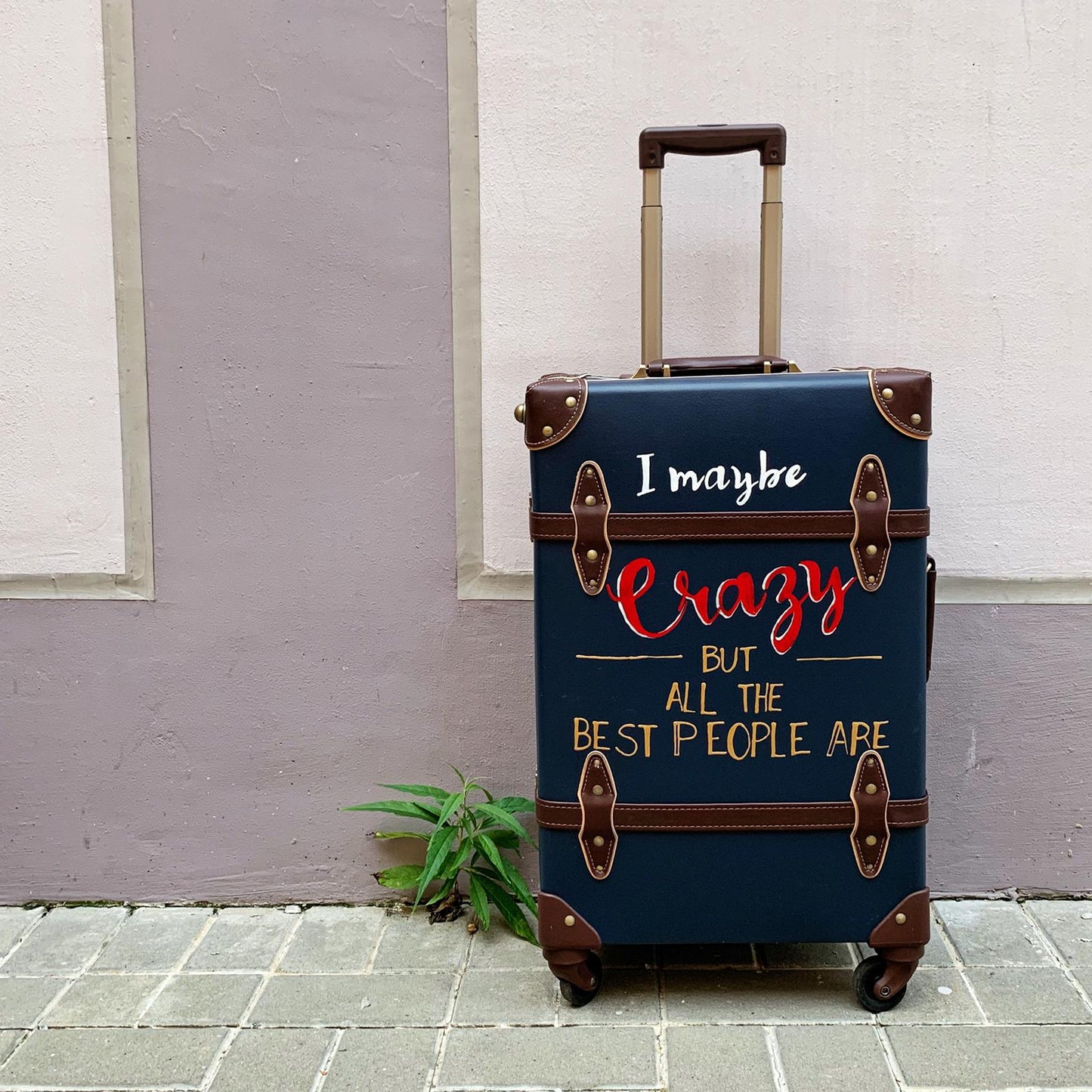 CRAZY | Suitcase | 22 inch | Navy